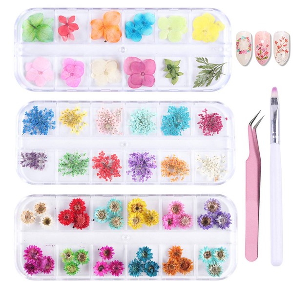 PHAETON 36 colores Mini flores secas uñas 3D Nail Art Sticker,Flower Beauty Nail Sticker,Kit de flores naturales de flores secas con pinzas curvadas y cepillo para polvo de uñas 3 cajas