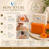 Persimmon Soap 3 Pack with Foaming Bag – Body Odor