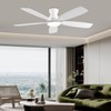 NKPU 52inch Ceiling Fans with Lights, Low Profile Ceiling Fan