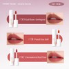 L'ADORE COLORS Souffle Mat Lip (510 Red Bean Astringent)