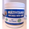 generic Multivitamin Dog Supplement for Digestion Skin & Coat Support 120 soft chews