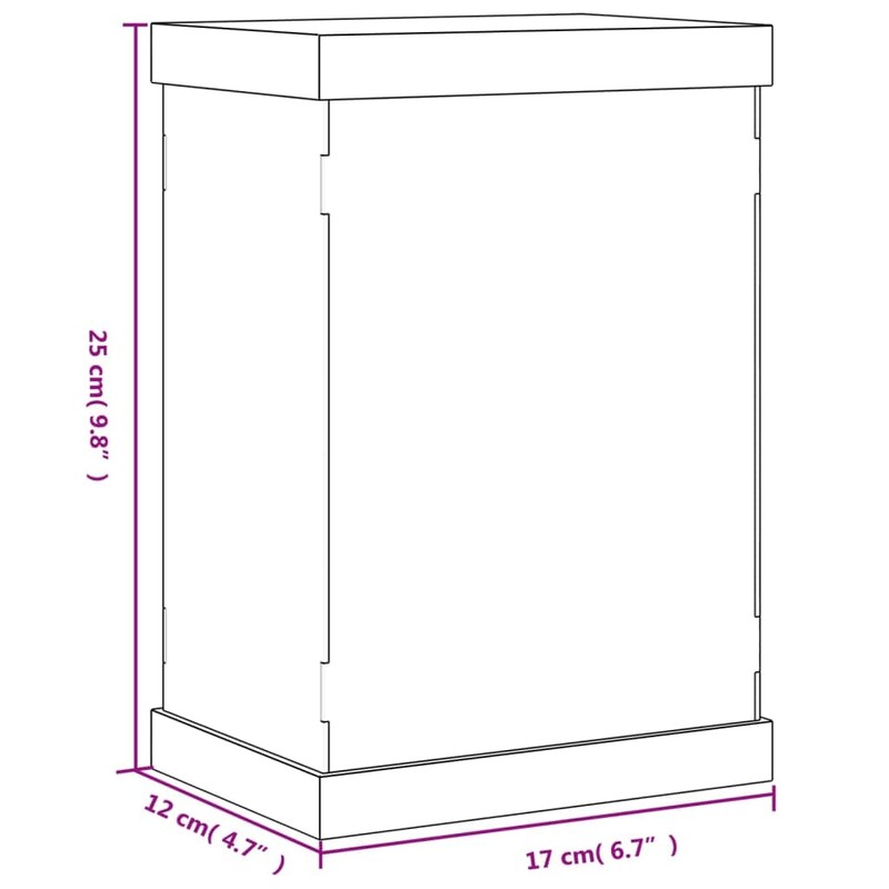 vidaXL Transparent Acrylic Display Box - Clear and Lightweight Display