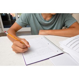 Dixon No. 2 Yellow Pencils, Wood-Cased, Black Core, 20-Pack (14420)