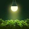 Grow Light Bulbs, Briignite LED Grow Light Bulb A19 Bulb,