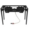 LP LIVING PLUS Heavy Duty Cast Iron 2 Burner Stove,