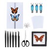 Entomology Starter Pack Includes pins, mounting Board, Spreading Tools, Display