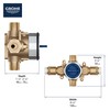 GrohSafe 3.0 Pressure Balance Valve Rough with Flush Plug with