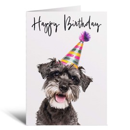 Postcard Prints - Birthday Card For Her Card For Friend Mum or Sister Birthday Card For Him Brother Dad Happy Birthday Card of Schnauzer Dog Fun Birthday Card