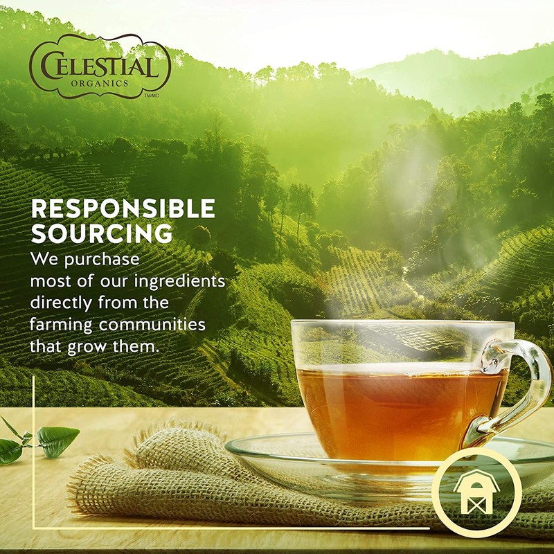 Celestial Seasonings Pure Green Organic Green Tea (Pack of 6),