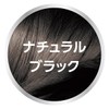 【Syoss】 Color Treatment FOR MEN Natural Black (Hair Color for