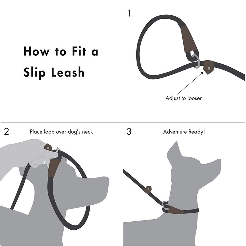 Wolfi Correa para Mascota Duradera, Correa Resistente y cómoda para