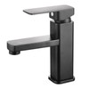 Kitchen Sink Faucet Cold Hot Water Plastic Quadrate Black for