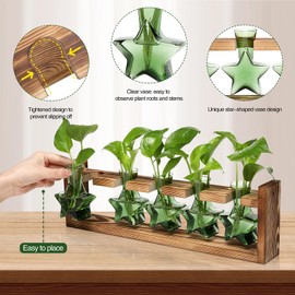 Plant Propagation Stations 5 Star Terrarium Starter kit Glass planters for Indoor Plants Gift for Women with Wooden Stand Star Shaped Colored Glass Vase