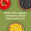 Amy’s Soup, Vegan Fire Roasted Southwestern Vegetable Soup With Organic