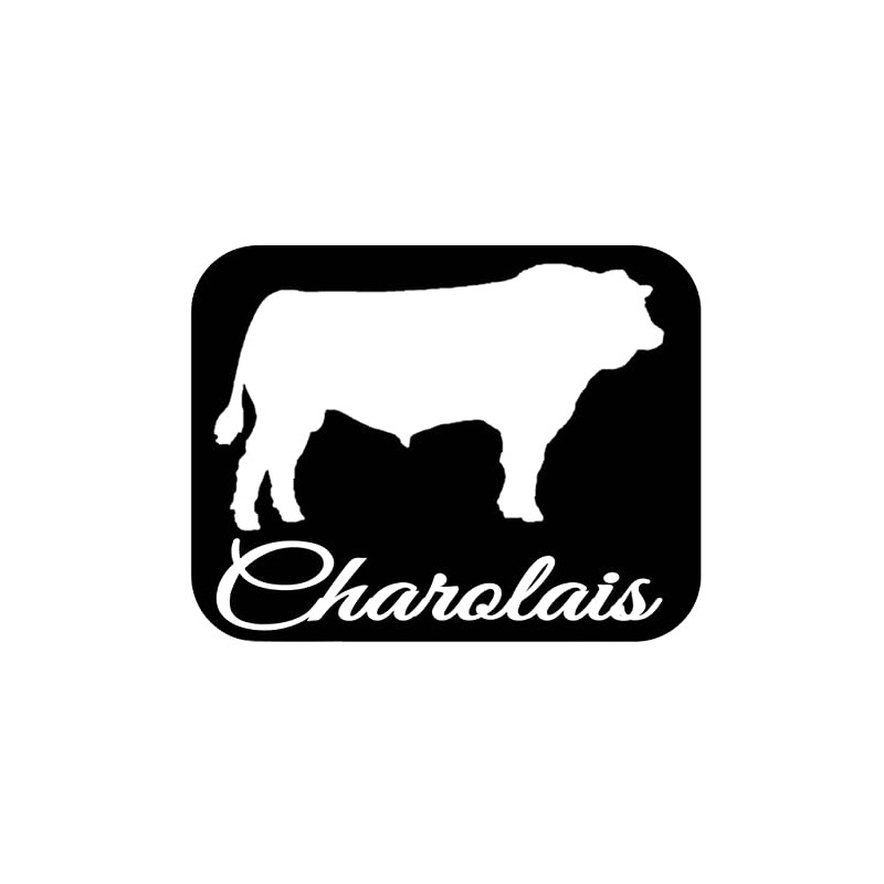 Charolais Bull Decal 6" Sticker OS 281 cattle cow beef