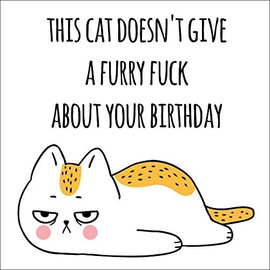 PartiKraft - 'This Cat Doesn't Give A Furry F**k' Birthday Greetings Card with Luxury Textured Envelope