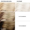 Keracolor Clenditioner Color Depositing Conditioner, Platinum