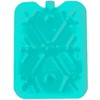 Décor Ice Pack for Lunch Box, Bags and Coolers, Pack