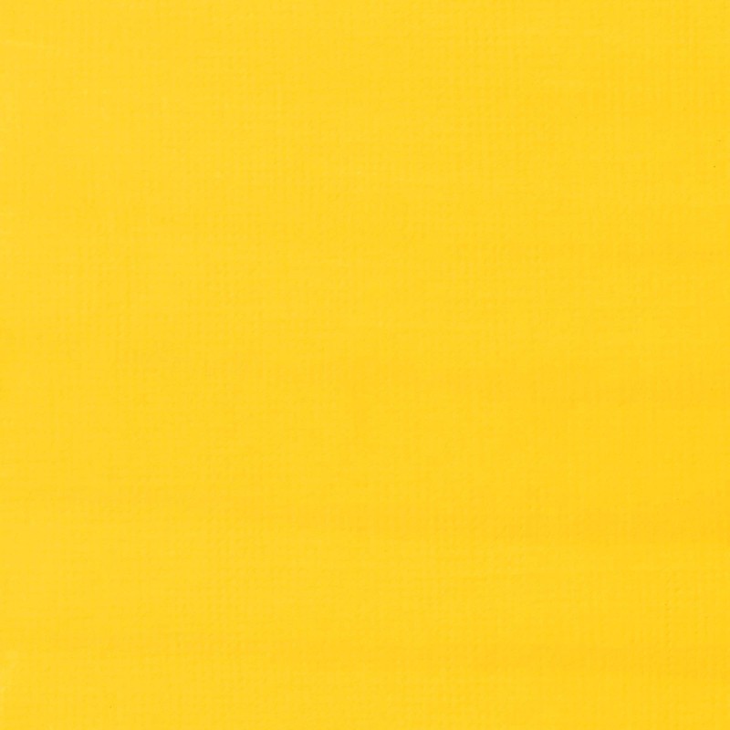 Liquitex Paint Marker, 2-4 mm fine nib, Cadmium Yellow Light
