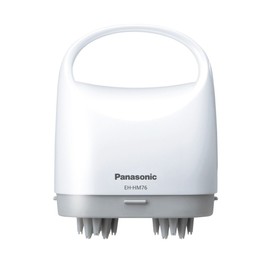 Panasonic scalp Este Sebum Cleaning Type Gray Tone EH – : – H