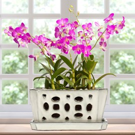 Teenyyou 1 Set 9.5 Inch Orchid Pot with Holes and Saucers Ceramic Orchid Pot with Drainage for Repotting Amaryllis Flower Succulent Planter with Gardening Shovel Set and Gloves for Home Decor(White)