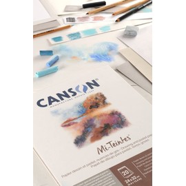 CANSON Mi-Teintes Coloured Drawing 160gsm 24x32cm Paper Pack, Double Sided: Honeycomb & Fine Grain, Pad Glued Short Side, 4 Grey Tones, 20 Sheets, Ideal for Professional Artists & Illustrators