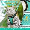 rabbitgoo Cat Harness and Lead Set for Walking Adjustable Soft
