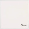 Jung LS990TWW Cover Symbol Rocker Key Design Plus Alpine White