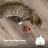 Catstages Plaque Away Pretzel Cat Toy – Interactive Catnip Dental