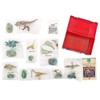 Realistic Figure Box Dino Vol. 3 Dinosaur Jurassic