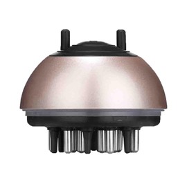 Hair Scalp Applicator Comb with Essential Oil Applicator, Hair Loss Treatment