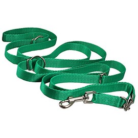 Dogs My Love 3/4" Wide 6 Way European Multi-Functional Nylon Dog Leash, Adjustable Lead 5.5"-10' Long (Green)