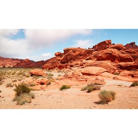 Reptile Terrarium Background Red Rocks Terrarium Background Reptile Tank Background Desert Rocky Bush Thorns Wilderness Reptile Habitat Background Bearded Dragon Tank Aquarium Background 48x24in