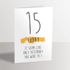 Funny 15th Birthday Card - 15 Today Seems Like Only