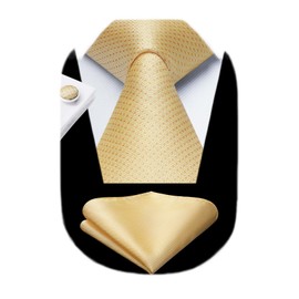 HISDERN Mens Tie Champagne Formal Wedding Necktie and Handkerchief Cufflinks Set Classic Beige Business Satin Woven Solid Ties Pocket Square Party