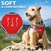 Dog Harness with Lead - Medium, Rover Red - Soft