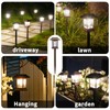 Glosola 6Pack Solar Pathway Lights Outdoor Waterproof IP65, Brown Solar