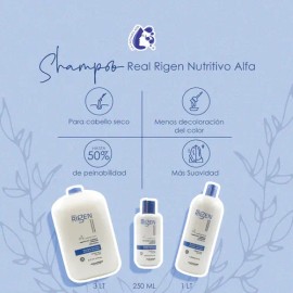 Shampoo Alfaparf Real Rigen Nutritivo 1000ml                                                                                                          