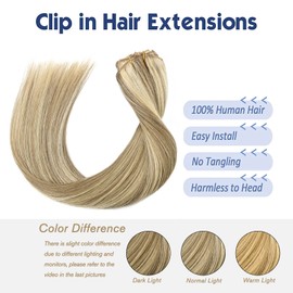 Hair Extensions Clip in Hair Extensions Human Hair Ombre Ash Blonde with Bleach Blonde Real Remy Human Hair Extensions Clip in Hair Extensions 70g/set 7pcs 12in Silky Straight Clip in Hair for women
