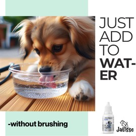 jatisse Cats and Dogs Water Additive for Oral and Dental Care: Eliminate Bad Dog Breath and Cat Bad Breath - Dog Breath Freshener - Fights Tartar & Plaque - Just Add to Water! (1.69 fl oz)