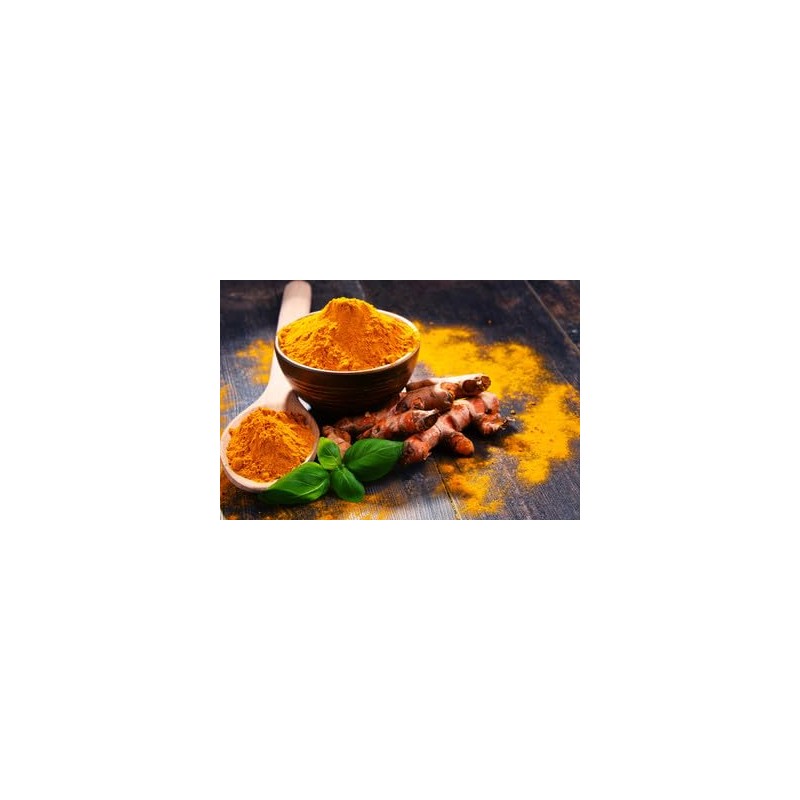 Go-Yogik Lakadong Turmeric powder -225 gram | High curcumin 7-9%