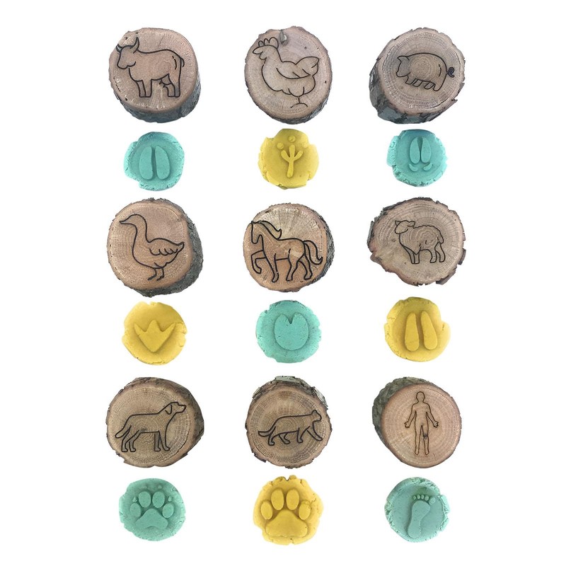 Animal Foot Print Stamp - Craft Stamps - Animal Stamp