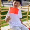 OAOSDH Pack of 30 Red Hand Curved Flags, Mini Hand
