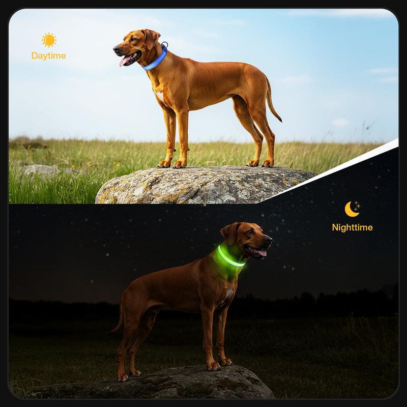 5200RGB Luminous Rabbit Band Blue-M