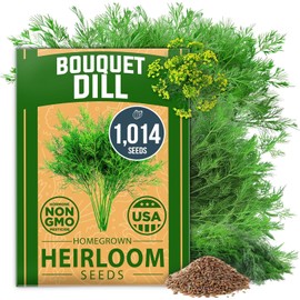 HOME GROWN 𝗨𝗦𝗔 𝗣𝗥𝗘𝗠𝗜𝗨𝗠 Dill Seeds for Planting 1,014 Bouquet Dill Seeds 𝗡𝗢𝗡-𝗚𝗠𝗢 and Heirloom Herb Seeds for Planting Outdoors, Grow Your Fragrant Dill Herb Garden (Anethum graveolens)
