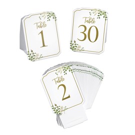 Lillian Rose Botanical Greenery Table Number Tent Cards 1-30, One Size, Multi