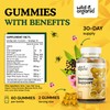 Wild & Organic Wild & Organic Sea Moss Gummies for