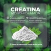 VITO - Creatina Monohidratada Alta Pureza - 500 g -