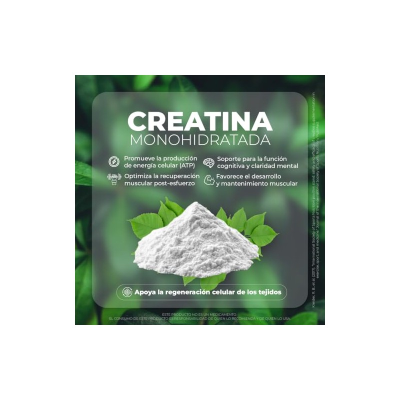 VITO - Creatina Monohidratada Alta Pureza - 500 g -
