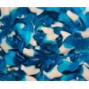 Blue Gummy Sharks - 1 Pound (16 Ounce) - By